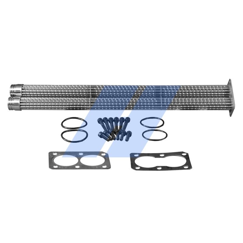 Reparatursatz, AGR-Modul