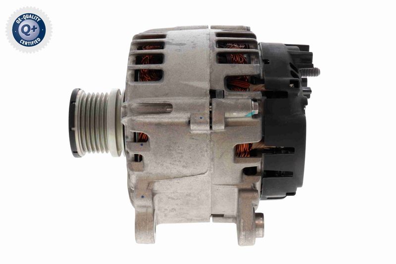 V10-13-50124_02.JPG