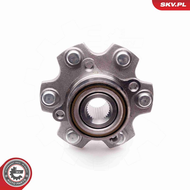 ESEN SKV 29SKV068 Wheel Bearing Kit