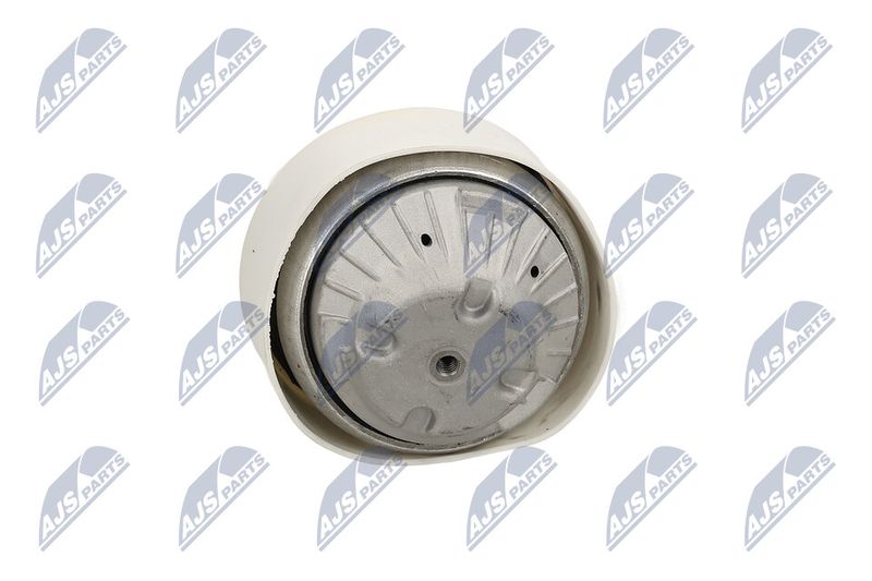 Paigutus, Mootor, NTY ZPS-ME-103