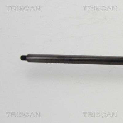 TRIS87101022452700_3.JPG