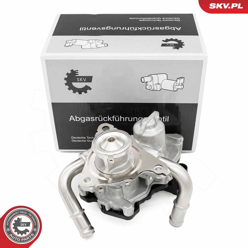 EGR-klapp, ESEN SKV 14SKV278