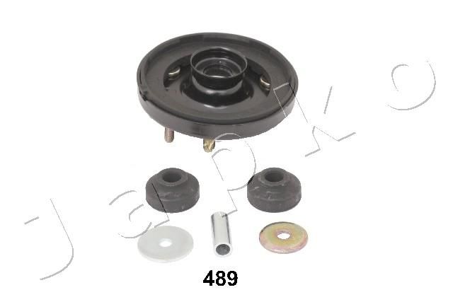 GOJ489_2.JPG