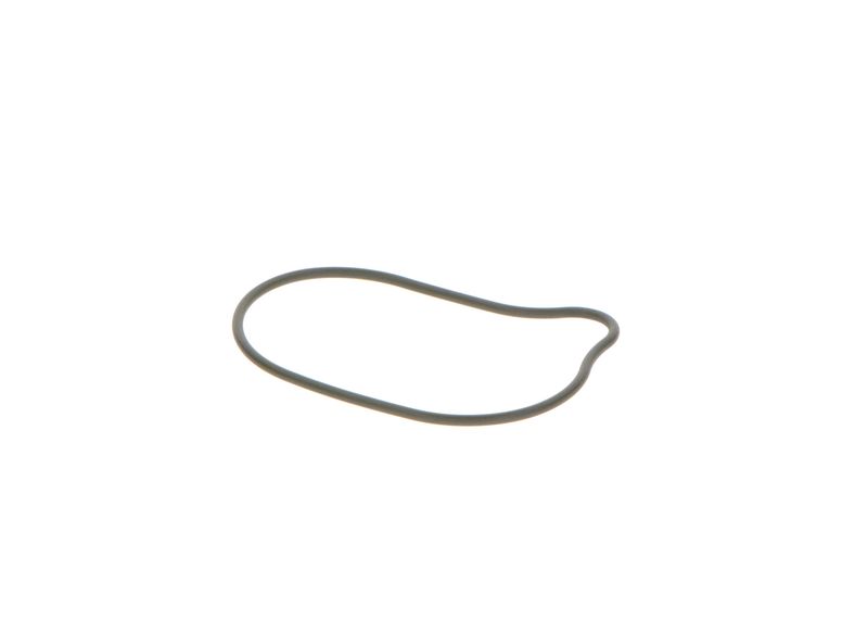 BOSCH 2440210028 Rubber Ring