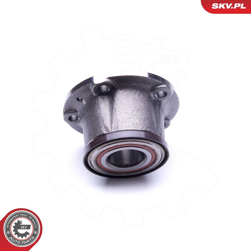 Rattalaagrikomplekt, ESEN SKV 29SKV217