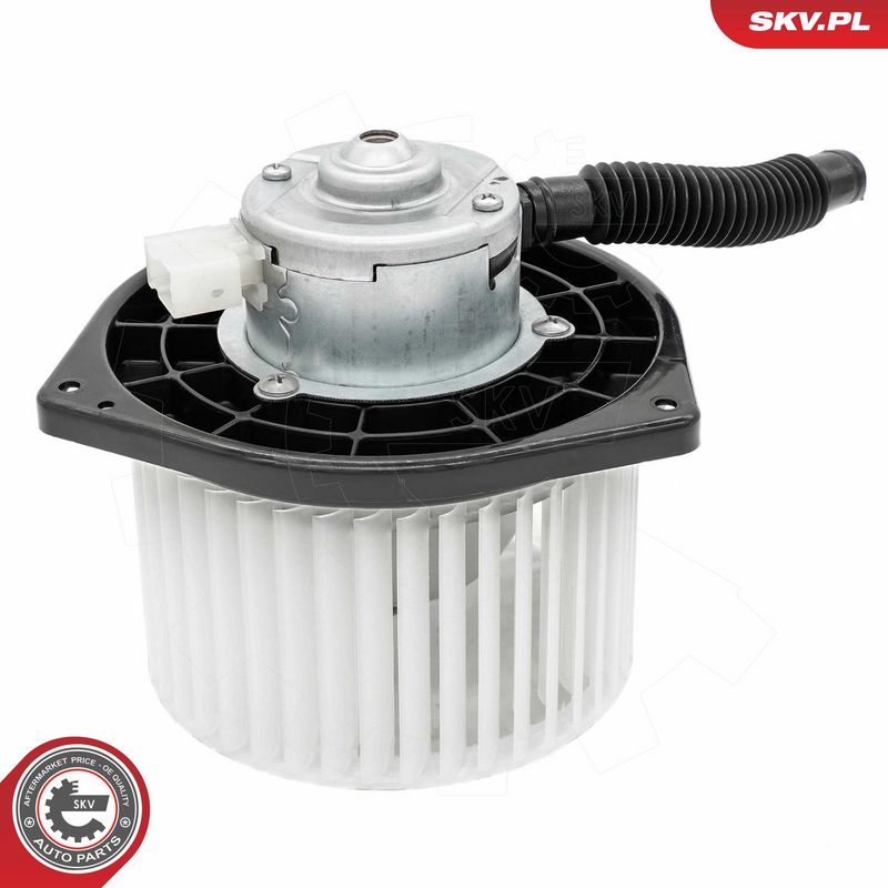 Salongipuhur, ESEN SKV...