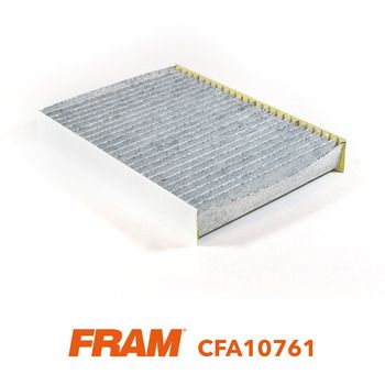 FRAM CFA10761