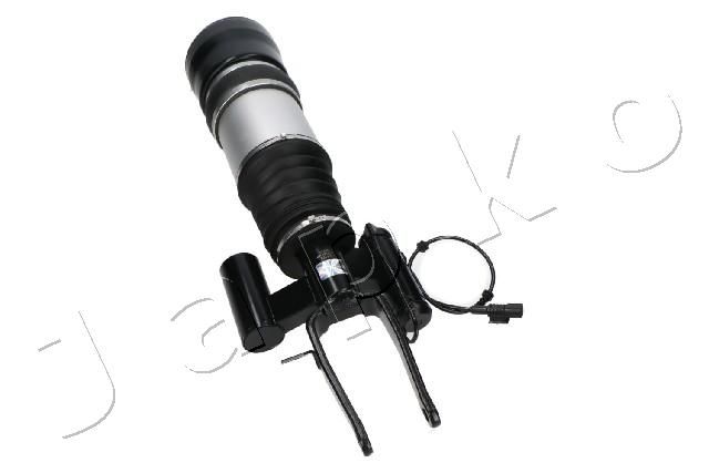 MJAS153_1.JPG