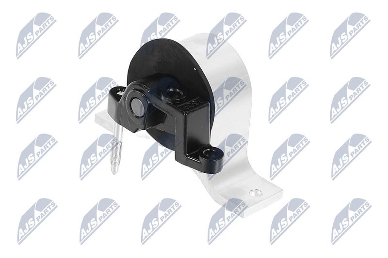 Paigutus, Mootor, NTY ZPS-NS-133