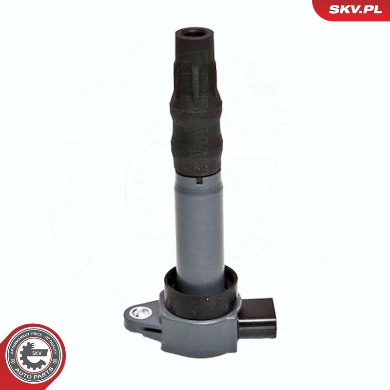 Süütepool, ESEN SKV 03SKV199