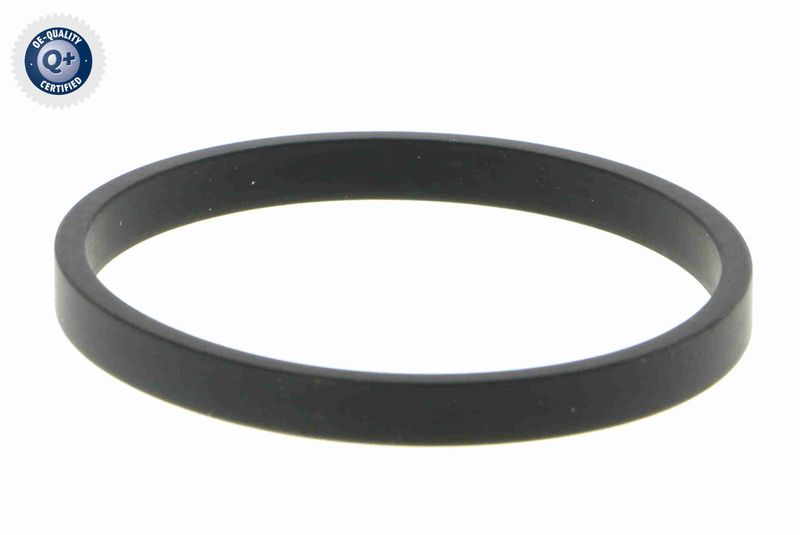 V10-81-0001_04.JPG