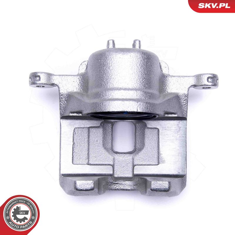 Pidurisadul, ESEN SKV 50SKV421