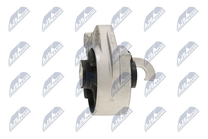 Paigutus, Mootor, NTY ZPS-CH-113