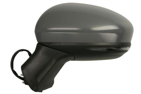 BLIC 5402-09-2345312P Exterior Mirror