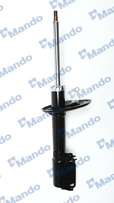 MSS016046B.JPG