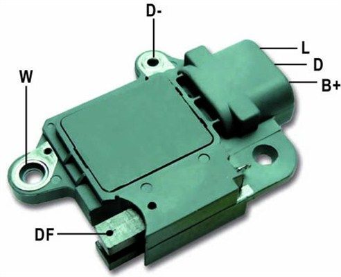 DDF_AMP0813_WR.JPG