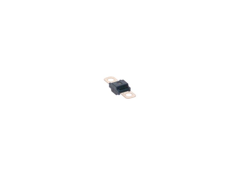 BOSCH 1987531011 Fuse