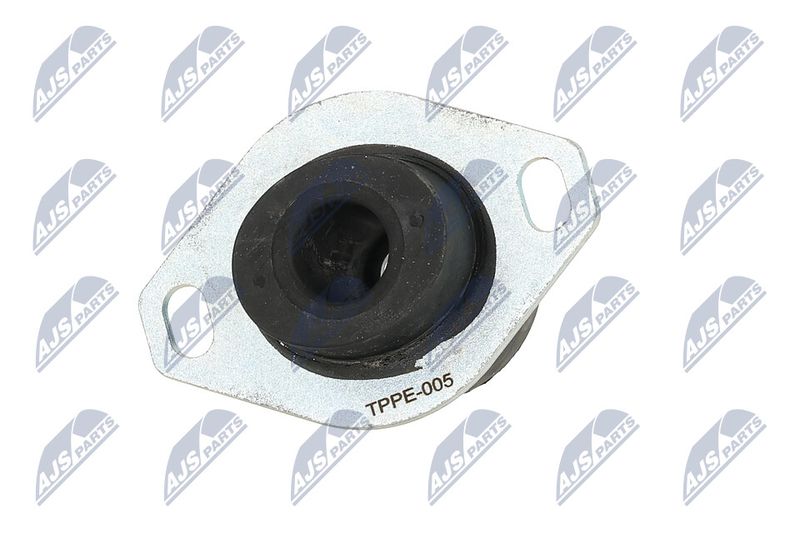 Paigutus, Mootor, NTY ZPS-PE-005