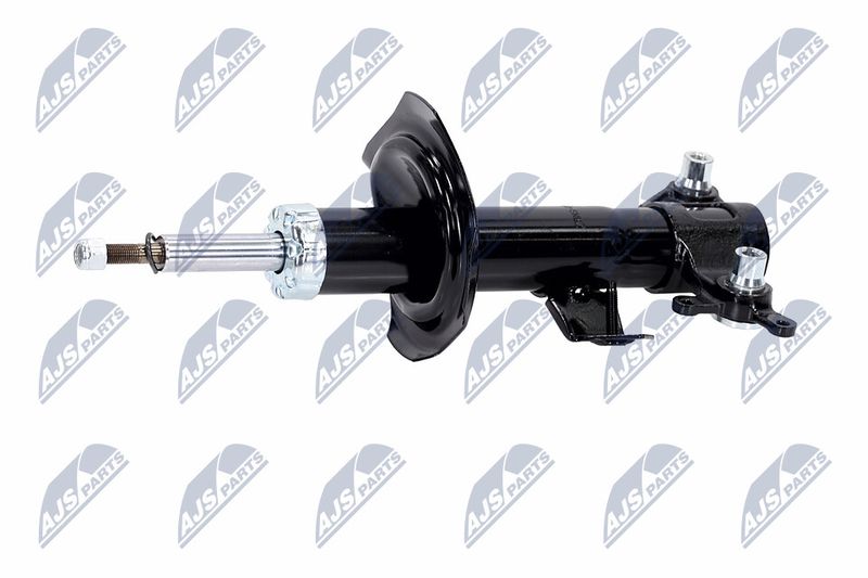 Amort, NTY A-NS-015