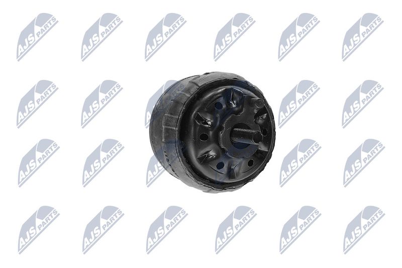 Paigutus, Mootor, NTY ZPS-CH-139