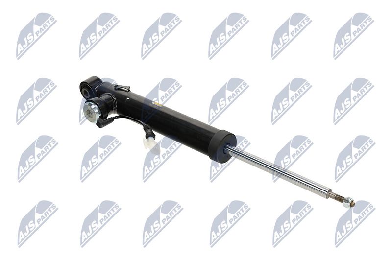 Amort, NTY A-PL-065