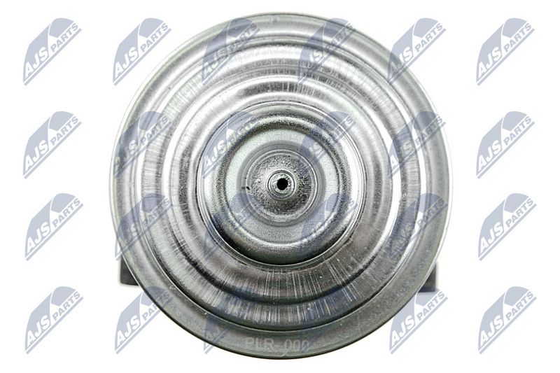 EGR-klapp, NTY EGR-LR-000