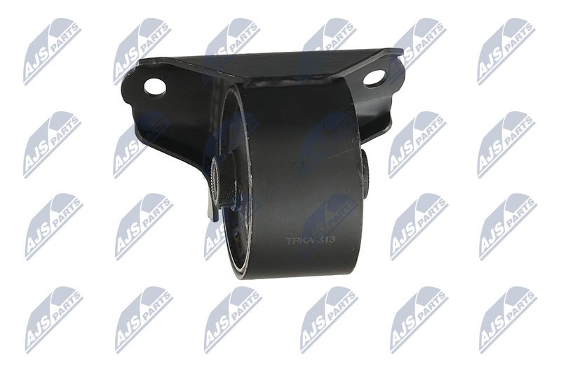 Paigutus, Mootor, NTY ZPS-KA-313