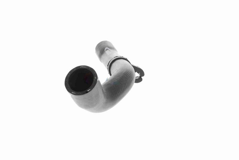 VAICO V10-4667 Radiator Hose