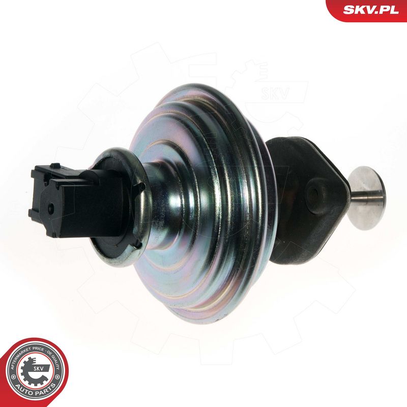 EGR-klapp, ESEN SKV 14SKV078