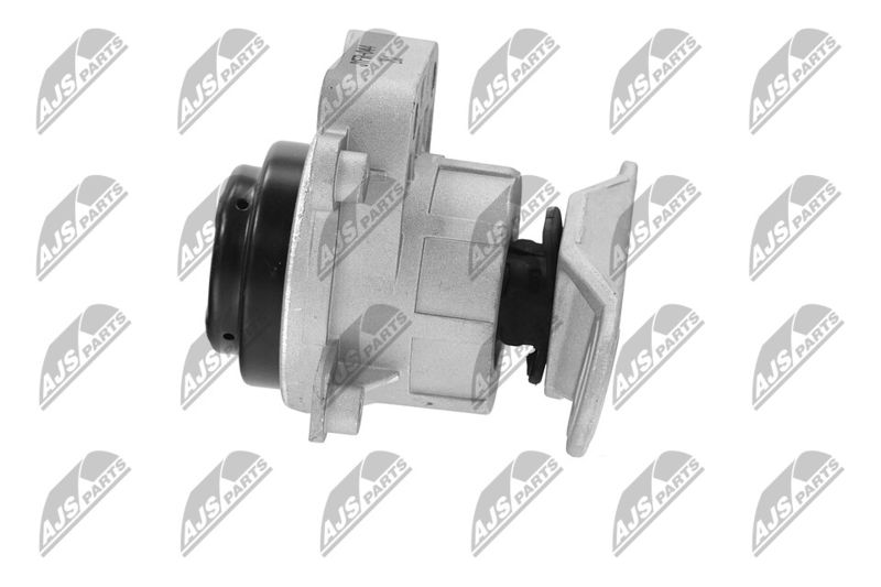 Paigutus, Mootor, NTY ZPS-FR-044