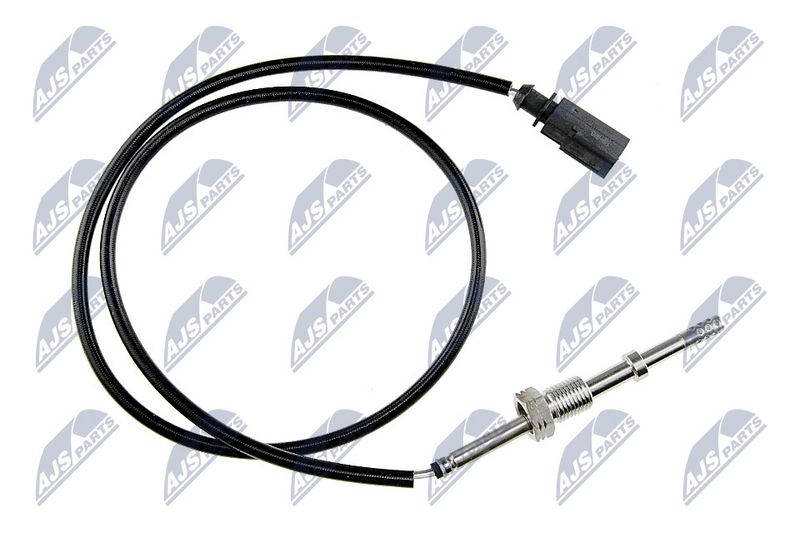 egt-vw-071_1-wm.JPG