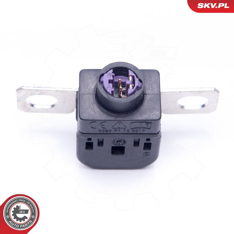 Ülepinge kaitseseade, generaator, ESEN SKV 96SKV300