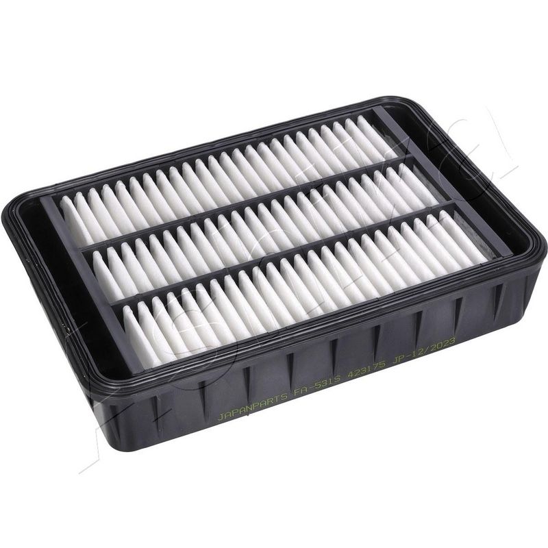 ASHIKA 20-05-531 Air Filter