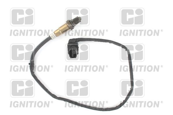 CI_XLOS1782.JPG
