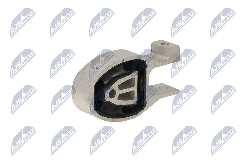 Paigutus, Mootor, NTY ZPS-FR-037