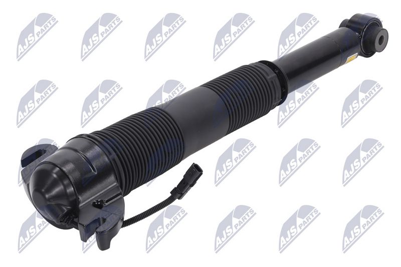 Amort, NTY A-LR-021