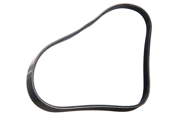 STELLOX 94-00942-SX V-ribbed Belt