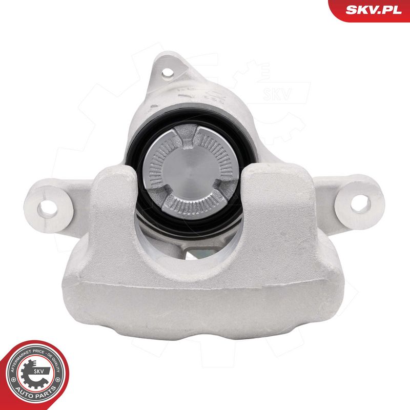 Pidurisadul, ESEN SKV 74SKV994