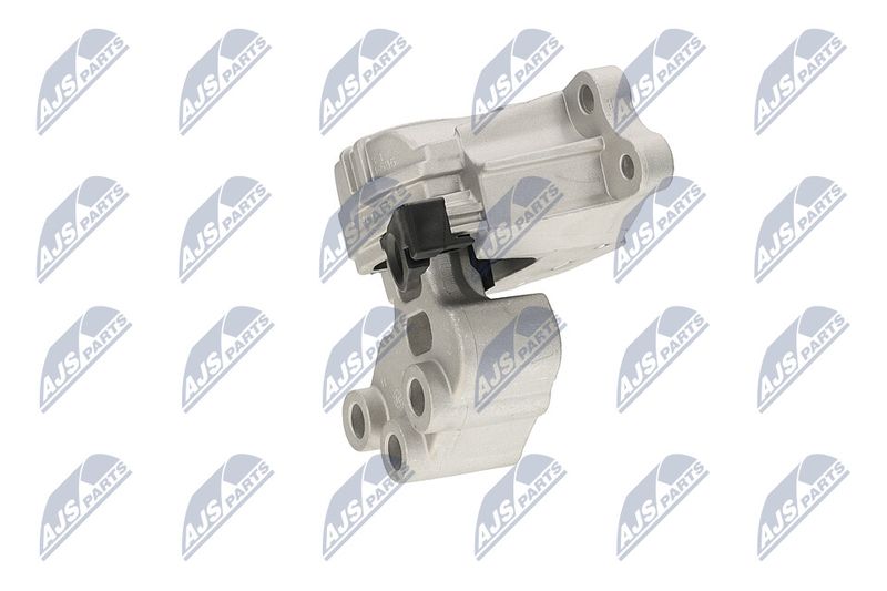 Paigutus, Mootor, NTY ZPS-CH-133