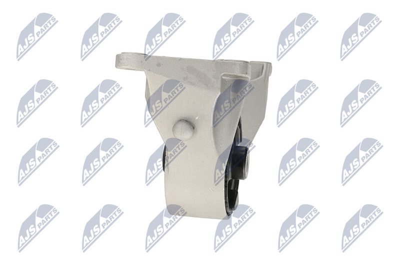 Paigutus, Mootor, NTY ZPS-PL-039