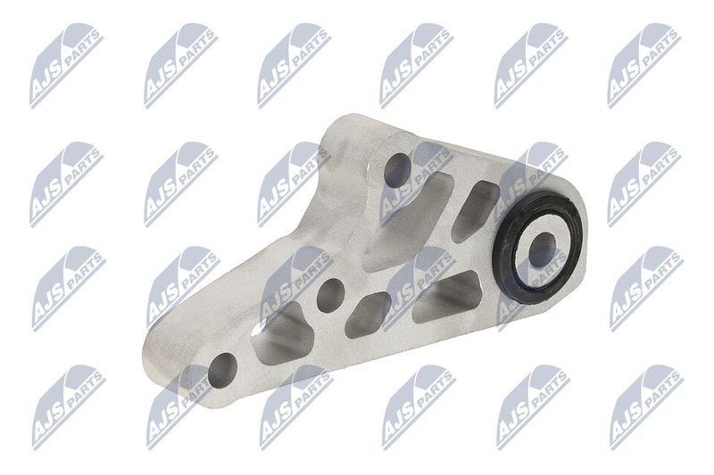 Paigutus, Mootor, NTY ZPS-CH-119