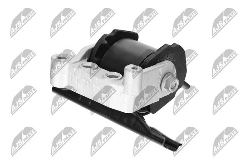 Paigutus, Mootor, NTY ZPS-CH-071