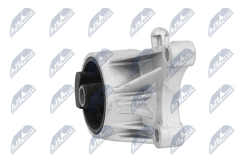 Paigutus, Mootor, NTY ZPS-PL-036