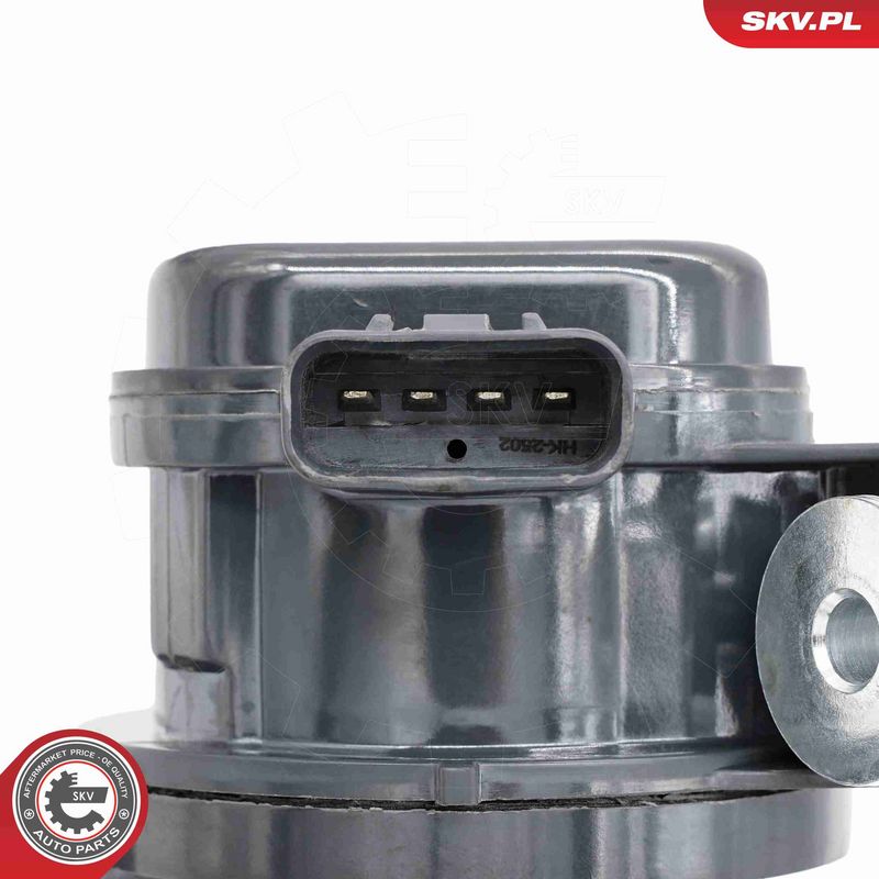 ESEN SKV 22SKV081 - Auxiliary Water Pump (cooling water circuit)