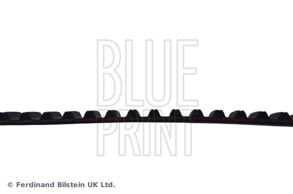 BLUE PRINT ADJ137508 Timing Belt