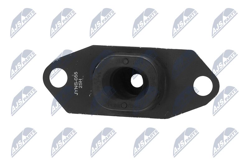 Paigutus, Mootor, NTY ZPS-NS-055