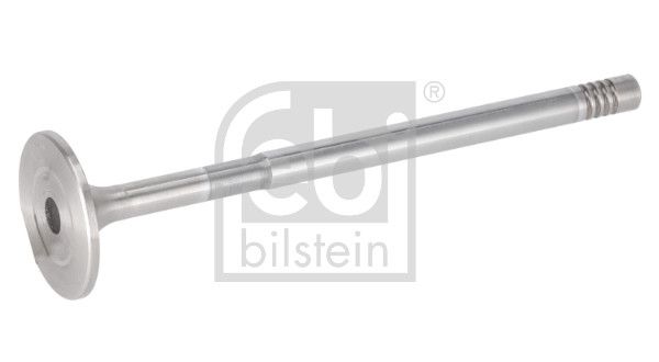 inlaatklep (44x10x171mm) past: SCANIA G I, IRIZAR CENTURY, IRIZAR I4, IRIZAR PB, K I, N BUS, OMNICITY, OMNIEXPRESS, OMNILINK, P I, R I, R II, S DC09.108-DC9.39 04.04-