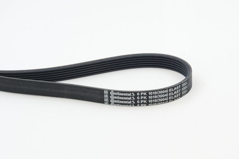 CONTINENTAL CTAM 6PK1019 ELAST V formos rumbuoti diržai