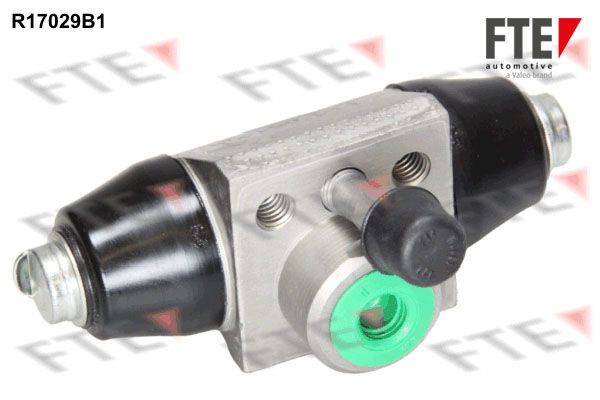 R17029B1.JPG