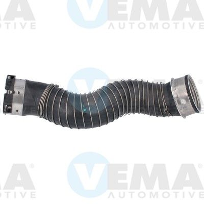 VE55772.JPG